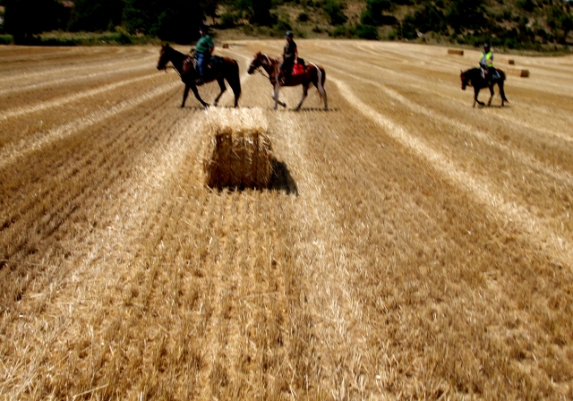  And fields 