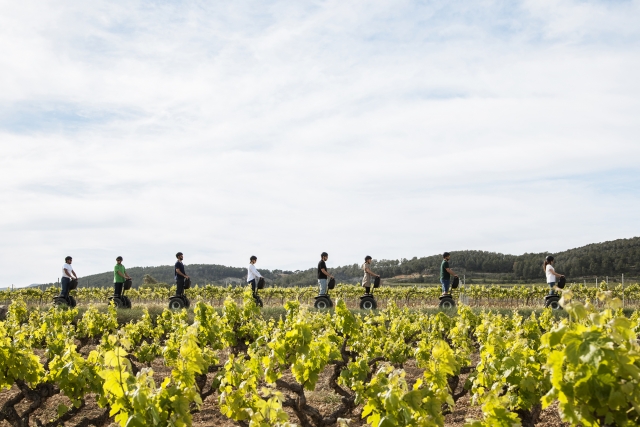  Parcours en Segway à travers les vignes 