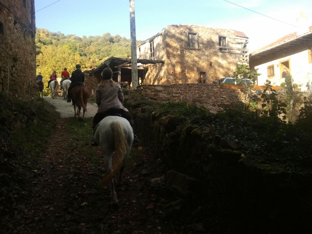 Atravesando típicos cono los caballos