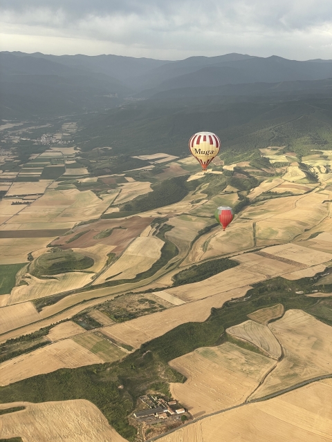 Opinione di Antonio su Itinerario in mongolfiera Brindisi tra i vigneti della Rioja+pranzo 1h