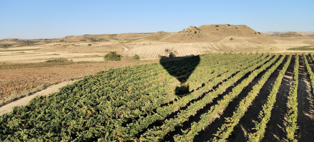 Opinião de MIGUEL sobre Rota do balão Vinhedos Rioja brinde+almoço 1h