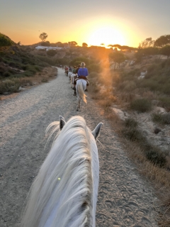 res_o-65603-rutas-a-caballo_de_andrea-rodriguez-gonzalez_img-1438_1756583730711.jpeg