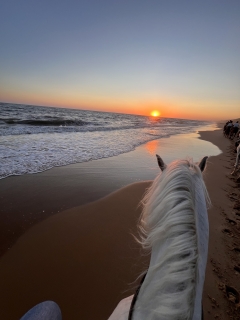 res_o-65603-rutas-a-caballo_de_andrea-rodriguez-gonzalez_img-1449_17565837237575.jpeg