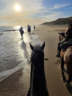 res_o-66980-rutas-a-caballo_de_melanie-aloi_17814274701019.jpg