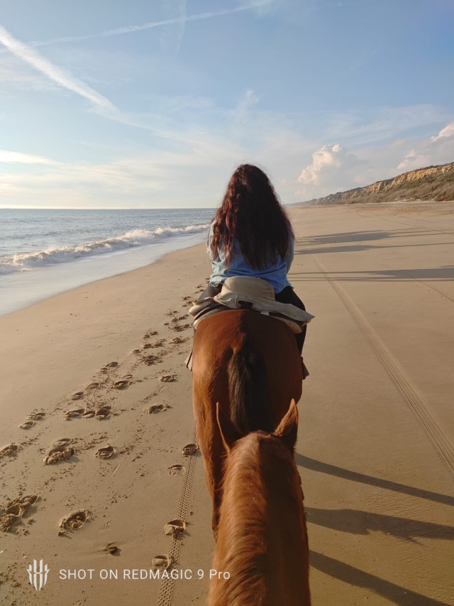 Opinione di Laura su Itinerario a cavallo al tramonto sulla spiaggia di Doñana, 1h45min