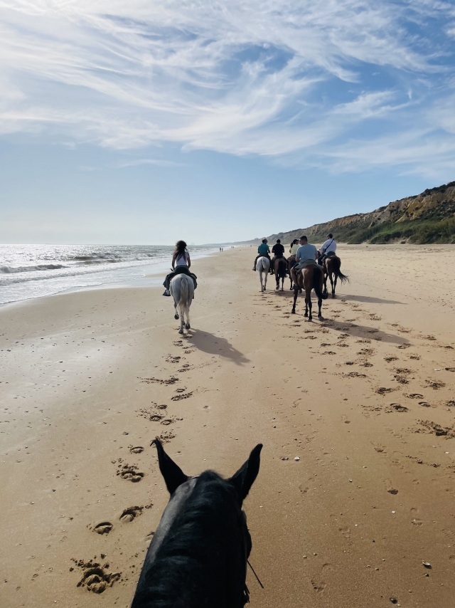 Opinião de Lucía sobre Pontos de vista da rota de cavalos e praias de Doñana 2h
