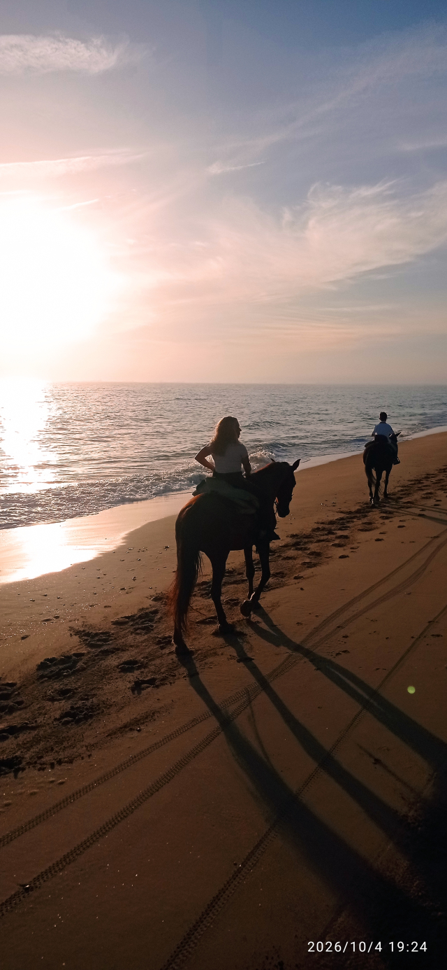 Opinión de Jose sobre Ruta a caballo atardecer Costa de la Luz
