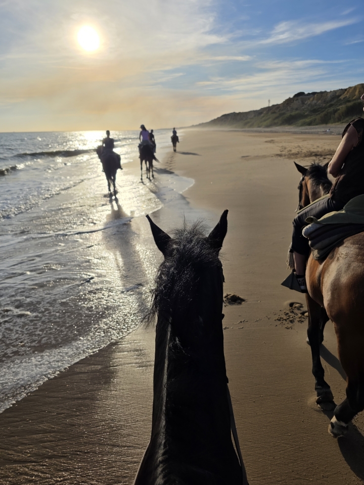 res_o-66980-rutas-a-caballo_de_melanie-aloi_17814274701019.jpg