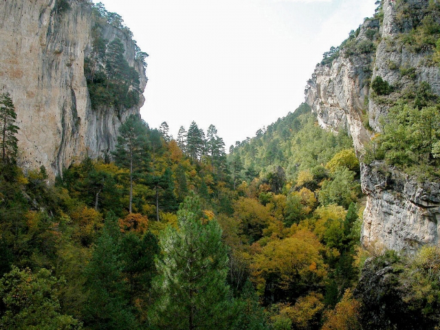  ravine-del-horcajo 