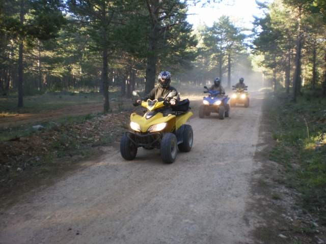  Quad-Route