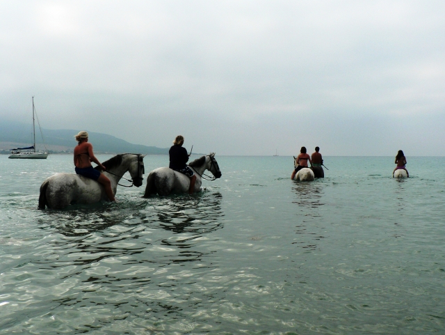 In acqua con i cavalli 