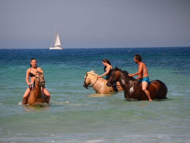  Fare un bagno a cavallo 