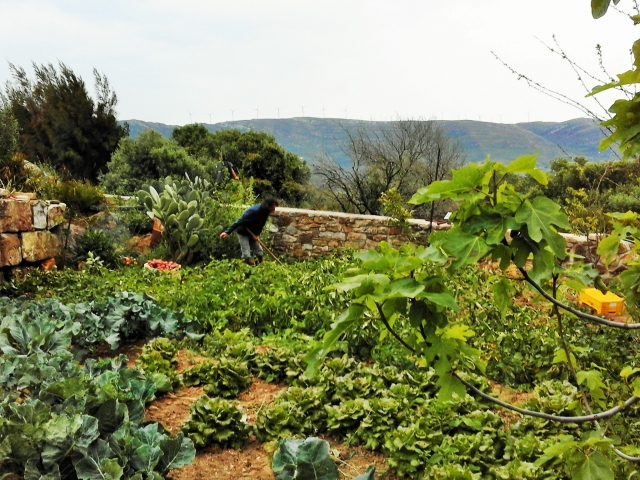  Frutteto 