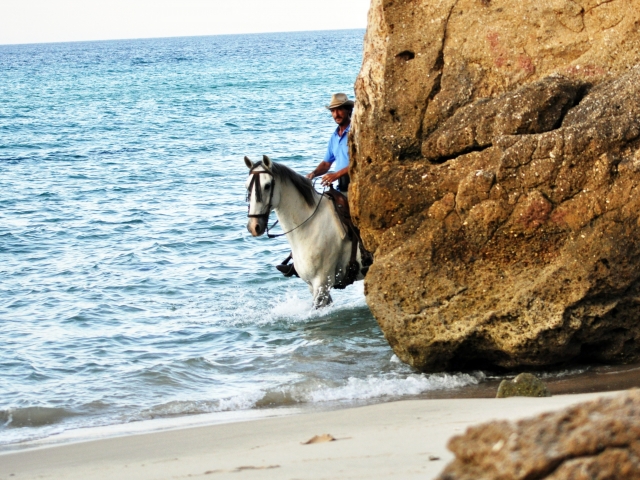 Cavalcando tra le onde 