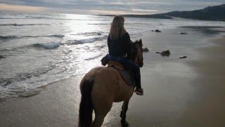 rutas-a-caballo_de_laura_1463422053.1599.jpg