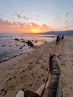 res_o-65212-rutas-a-caballo_de_monica-villarreal_1000092584_17546037363965.jpg