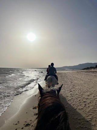 res_o-65308-rutas-a-caballo_de_borja-hierro-santos_1000175544_17550324595483.jpg