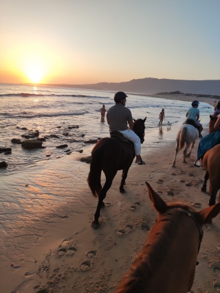res_o-65547-rutas-a-caballo_de_herminia-diaz-cid_img-20250822-205404_17561106307137.jpg