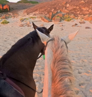 res_o-65763-rutas-a-caballo_de_myriam-ynigo-de-los-rios_1000076009_17578889729813.jpg