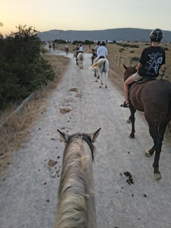 res_o-67365-rutas-a-caballo_de_sinlaidy-mas-silva_17862922773147.jpg