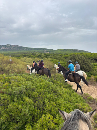 res_o-67698-rutas-a-caballo_de_cristina-correia-fernandez_17893160732608.jpg