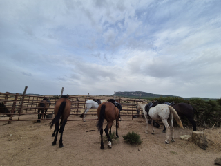 res_o-67698-rutas-a-caballo_de_cristina-correia-fernandez_17893160844223.jpg