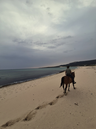 res_o-67698-rutas-a-caballo_de_cristina-correia-fernandez_17893160901495.jpg