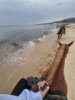 res_o-67698-rutas-a-caballo_de_cristina-correia-fernandez_17893160987750.jpg