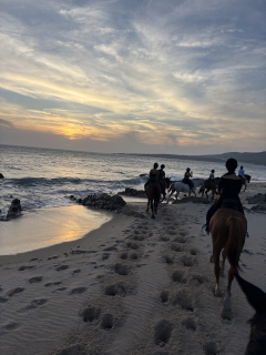 res_o-67813-rutas-a-caballo_de__17911841693303.jpeg
