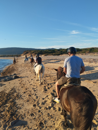 res_o-67936-rutas-a-caballo_de_rosa-treuberg-aranda_17920811356415.jpg