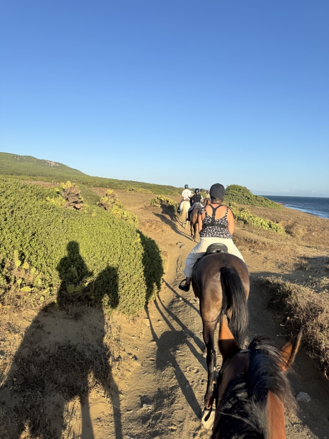 Bewertung von Lara Über Reitausflug bei Sonnenuntergang am Strand von Bolonia, 1 Stunde