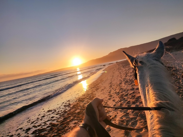 Opinione di Andrea su Escursione a cavallo al tramonto sulla spiaggia di Bolonia 1h