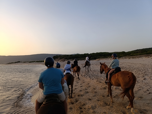 Opinión de Martina sobre Excursión a caballo puesta de sol Playa Bolonia 1h