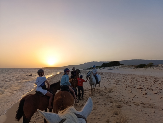 Opinión de Andrea sobre Excursión a caballo puesta de sol Playa Bolonia 1h