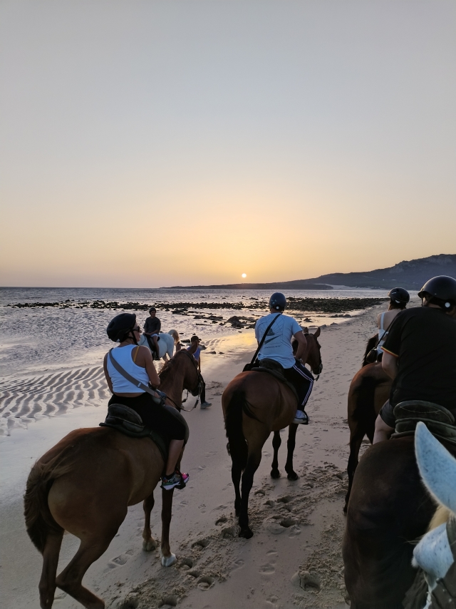 Opinión de Miguel sobre Excursión a caballo puesta de sol Playa Bolonia 1h