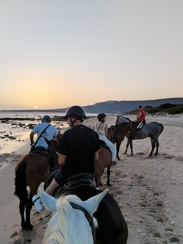 Opinión de Mario sobre Excursión a caballo puesta de sol Playa Bolonia 1h
