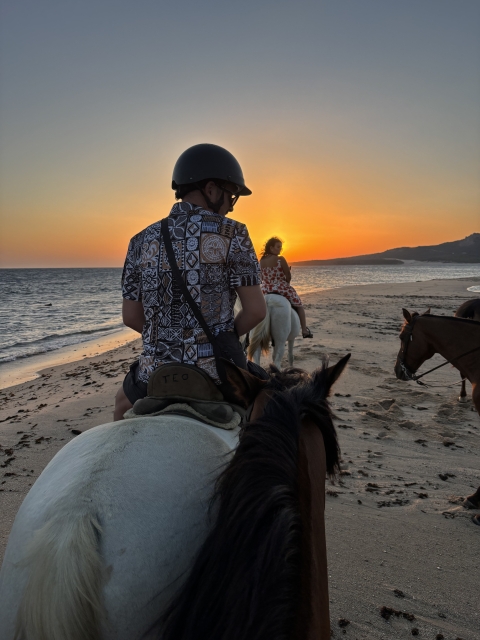 Opinión de Borja sobre Excursión a caballo puesta de sol Playa Bolonia 1h