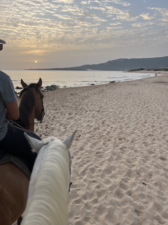 Opinión de Gustavo sobre Excursión a caballo puesta de sol Playa Bolonia 1h