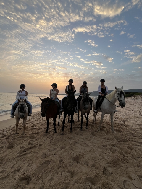 Opinión de Manuel sobre Excursión a caballo puesta de sol Playa Bolonia 1h