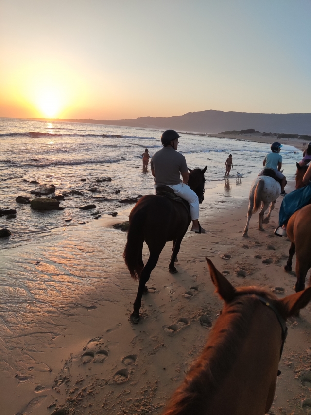 Opinión de Herminia sobre Excursión a caballo puesta de sol Playa Bolonia 1h