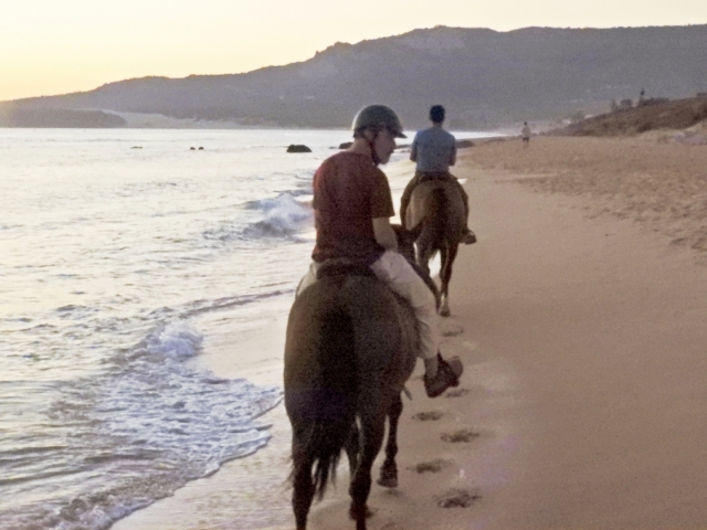 Review of Sebastian about Bolonia Beach sunset horseback riding excursion 1h