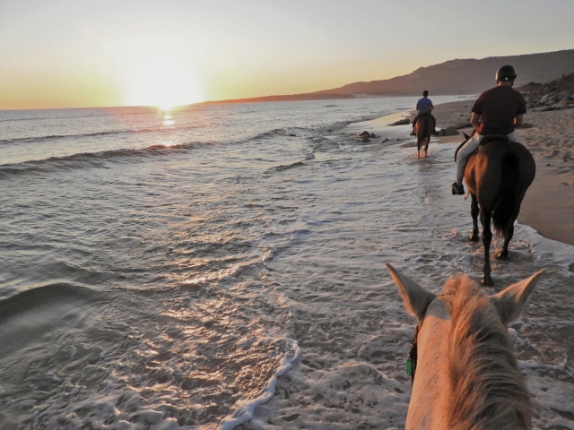 Review of José about Bolonia Beach sunset horseback riding excursion 1h