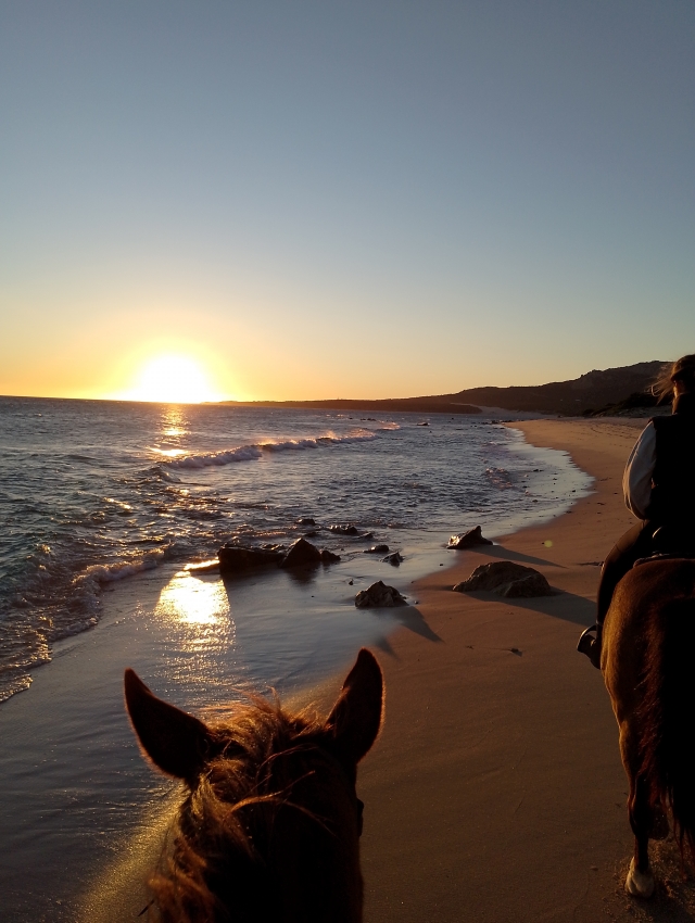 Bewertung von Sara Über Reitausflug bei Sonnenuntergang am Strand von Bolonia, 1 Stunde