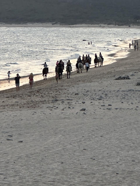 Review of Javier about Bolonia Beach sunset horseback riding excursion 1h