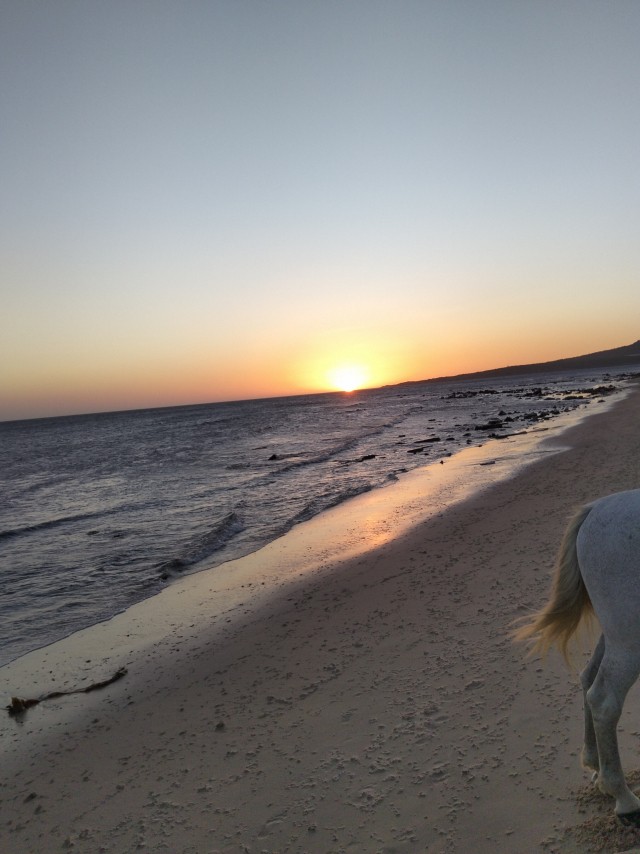 Bewertung von Tamara Über Reitausflug bei Sonnenuntergang am Strand von Bolonia, 1 Stunde