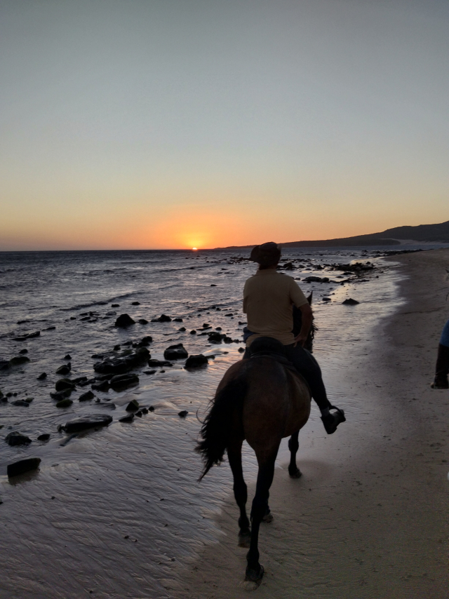 Opinión de Paula sobre Excursión a caballo puesta de sol Playa Bolonia 1h