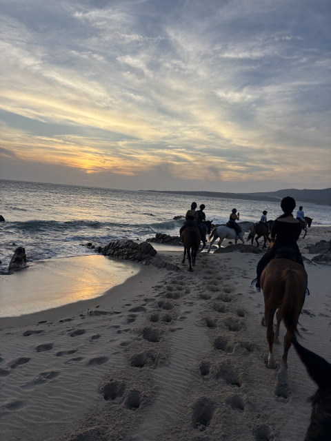 Review of Tamara about Bolonia Beach sunset horseback riding excursion 1h