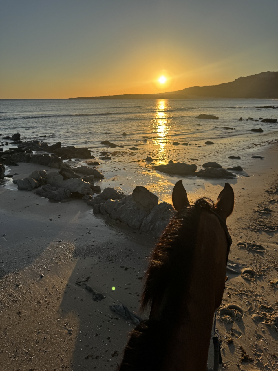 res_o-65035-rutas-a-caballo_de_natalia-sanz-fernandez_17536016813210.jpeg