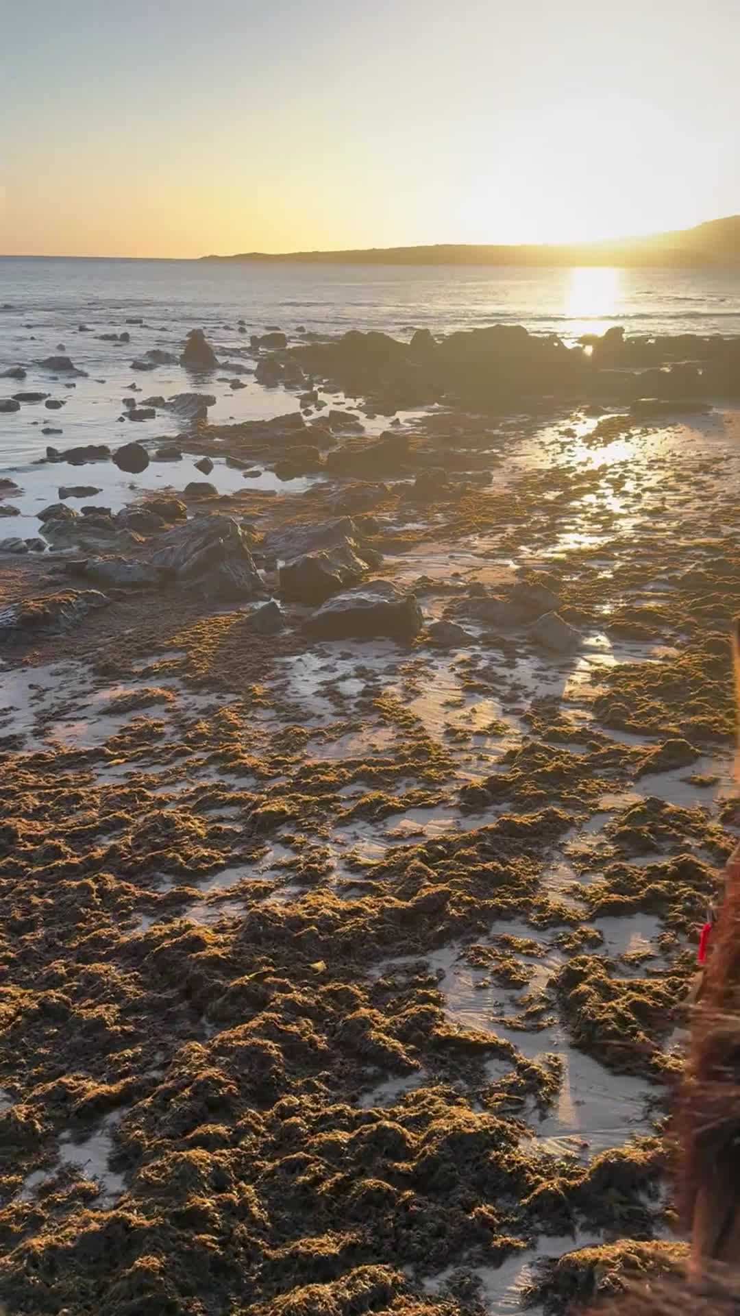 Opinión de Raúl sobre Excursión a caballo puesta de sol Playa Bolonia 1h