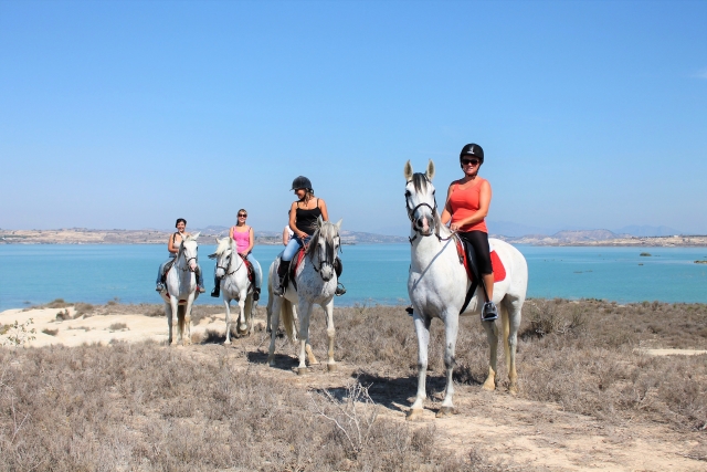  Horses 